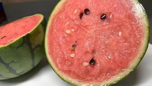 怎么挑选吃瓜,如何挑选新鲜美味吃瓜攻略 第1张 怎么挑选吃瓜,如何挑选新鲜美味吃瓜攻略 第1张